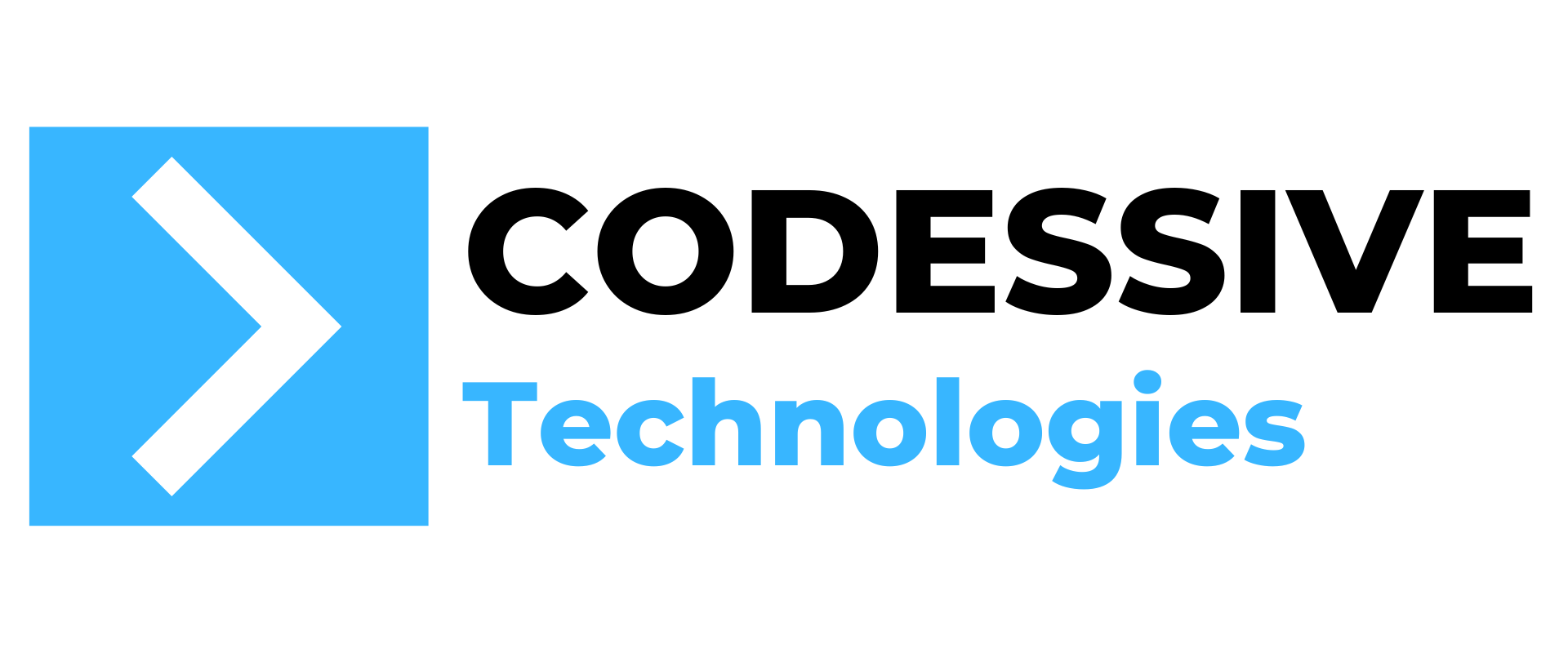 Codessive Technologies Private Limited